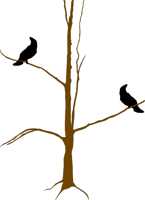 A tall tree with two crows