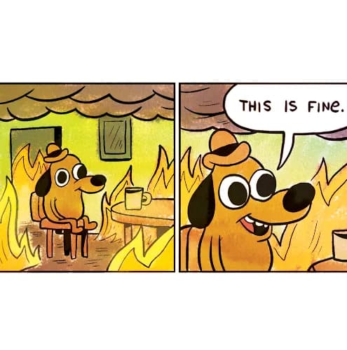 This is fine. Meme.